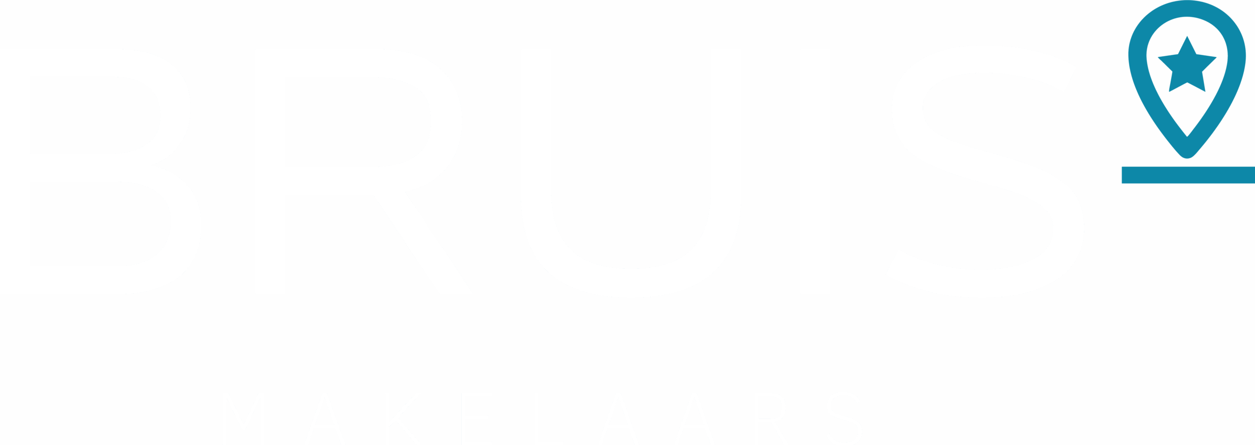 logo BRUIS makelaars wit